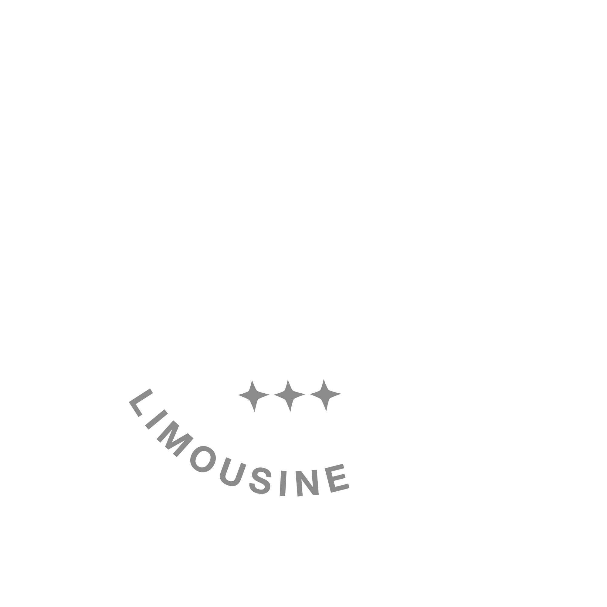 Rapid Lux Limo